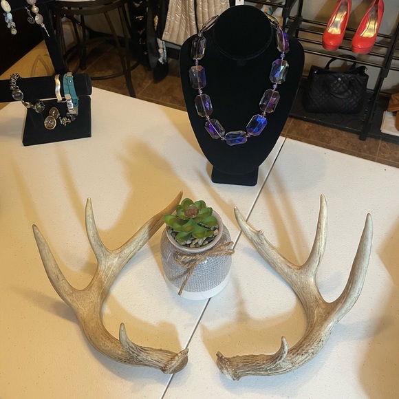🦌4x4.5 Point Matching Whitetail Antler Set - Picture 1 of 8